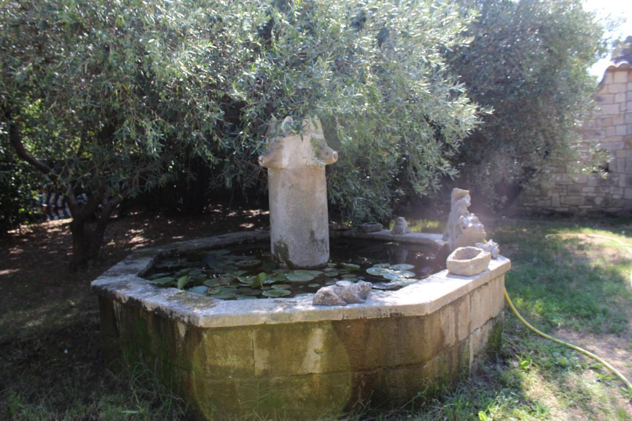 Le Mas De Lucien Entre Arles, Nimes, Avignon. Бокер Екстериор снимка