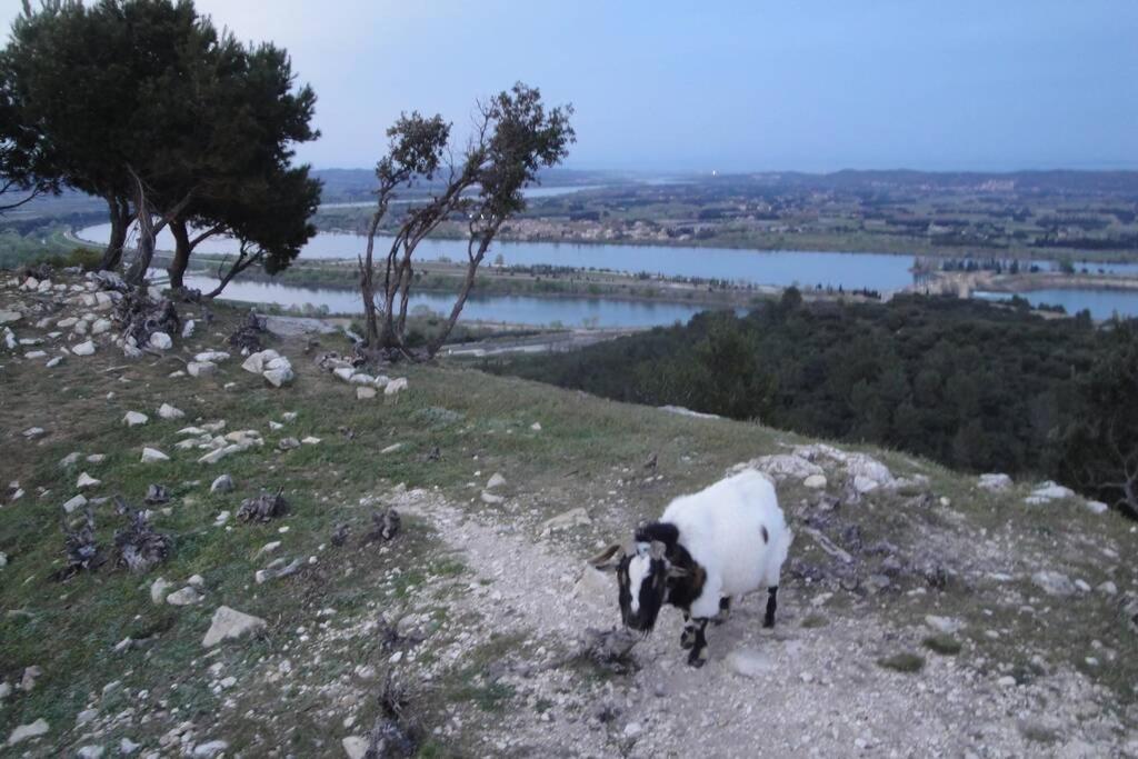 Le Mas De Lucien Entre Arles, Nimes, Avignon. Бокер Екстериор снимка