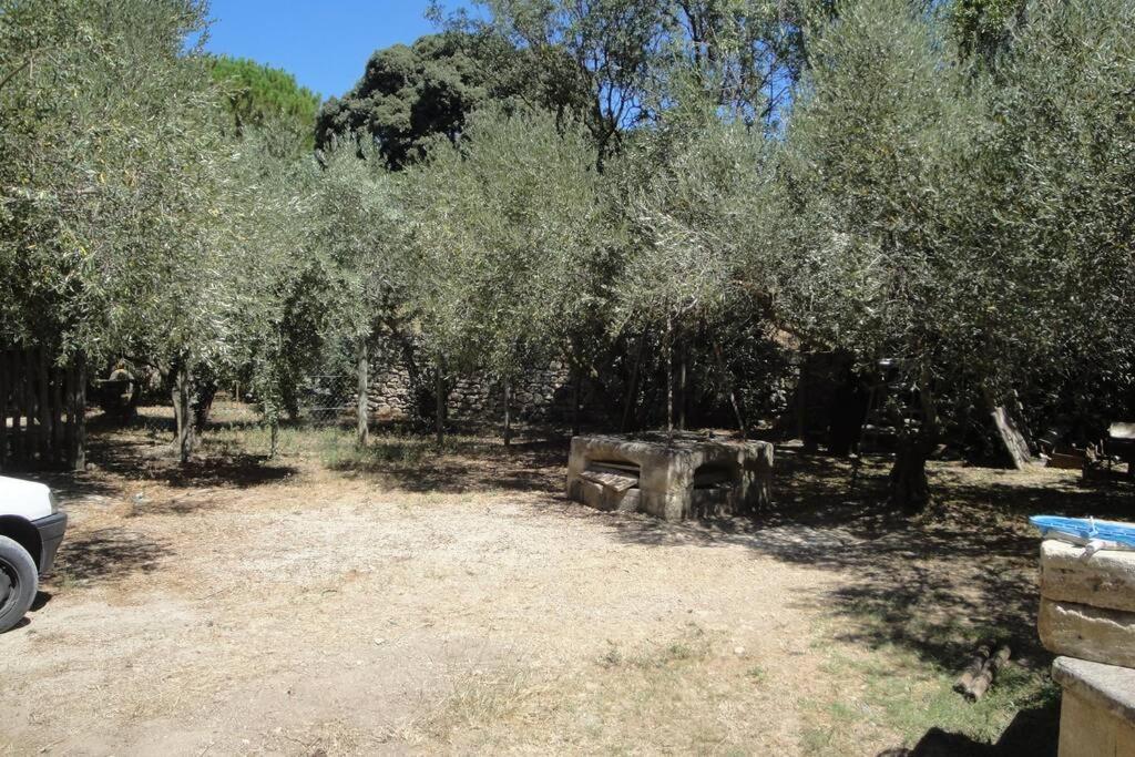Le Mas De Lucien Entre Arles, Nimes, Avignon. Бокер Екстериор снимка